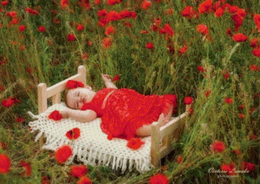 Lady in red - девочка, цветы, ребенок - предпросмотр