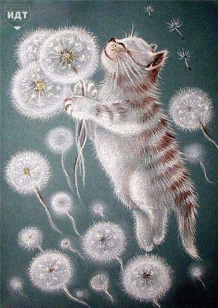 кот и одуванчики - оригинал
