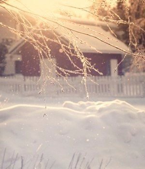 дом - оригинал