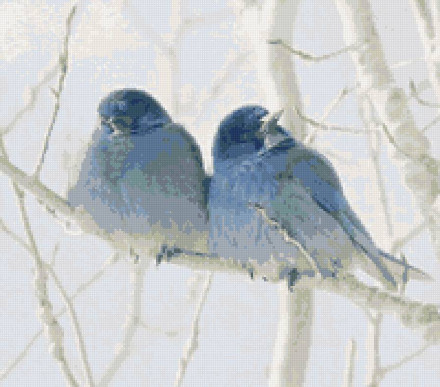 птички - предпросмотр