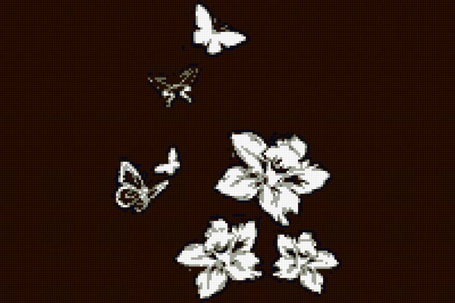 бабочки - предпросмотр