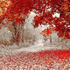 Зима и осень