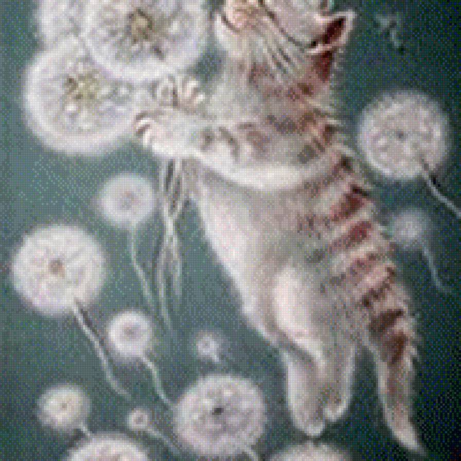 №1083564 - коты - предпросмотр