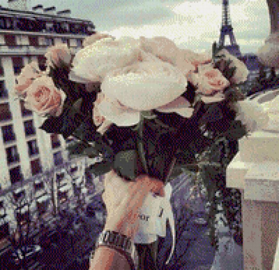 p6 - предпросмотр