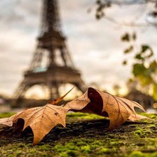 Схема вышивки «p38»