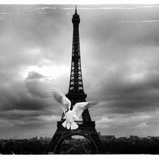 Схема вышивки «p333»