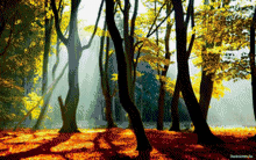 стволы деревьев - пейзаж - предпросмотр