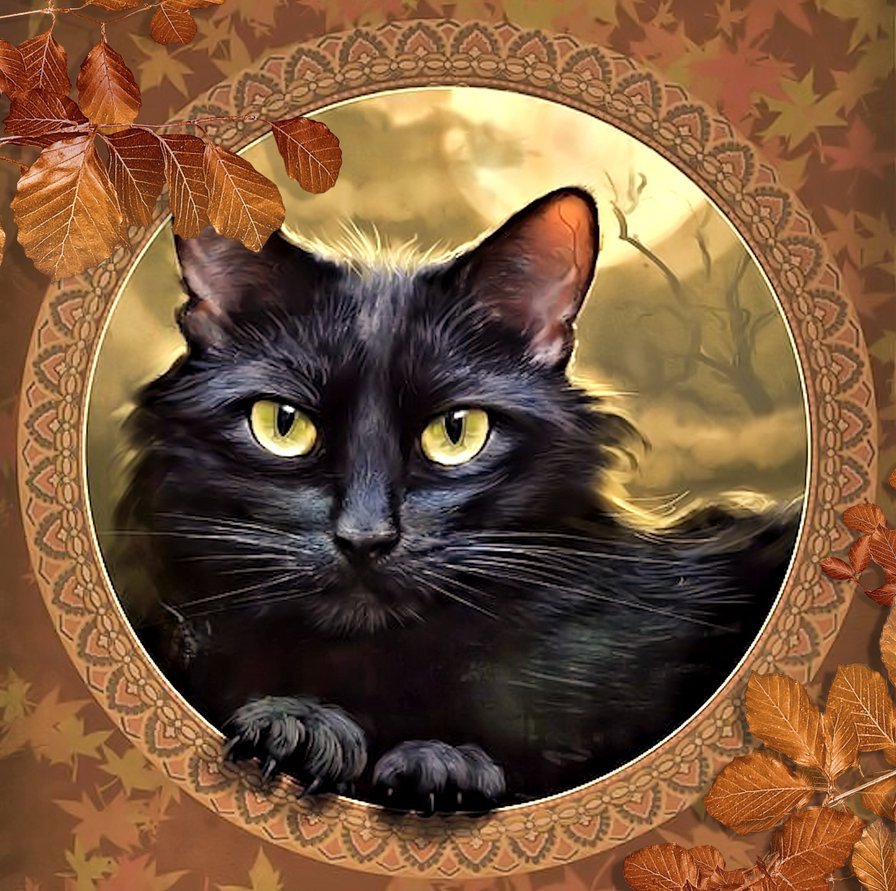 черный красавец - оригинал