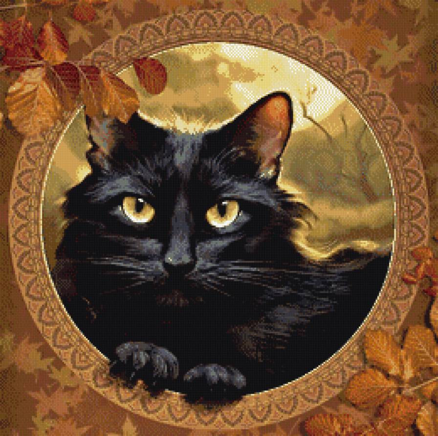 черный красавец - предпросмотр