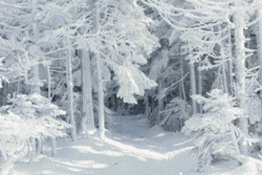 Зимний лес - лес, зима - предпросмотр