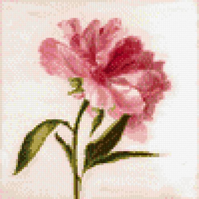 Пион 2016 - предпросмотр