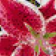 Предпросмотр схемы вышивки «лилии и ирисы» (№1084922)