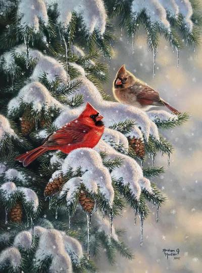 Снегири - новый год, ель, птицы, снег, шишки - оригинал