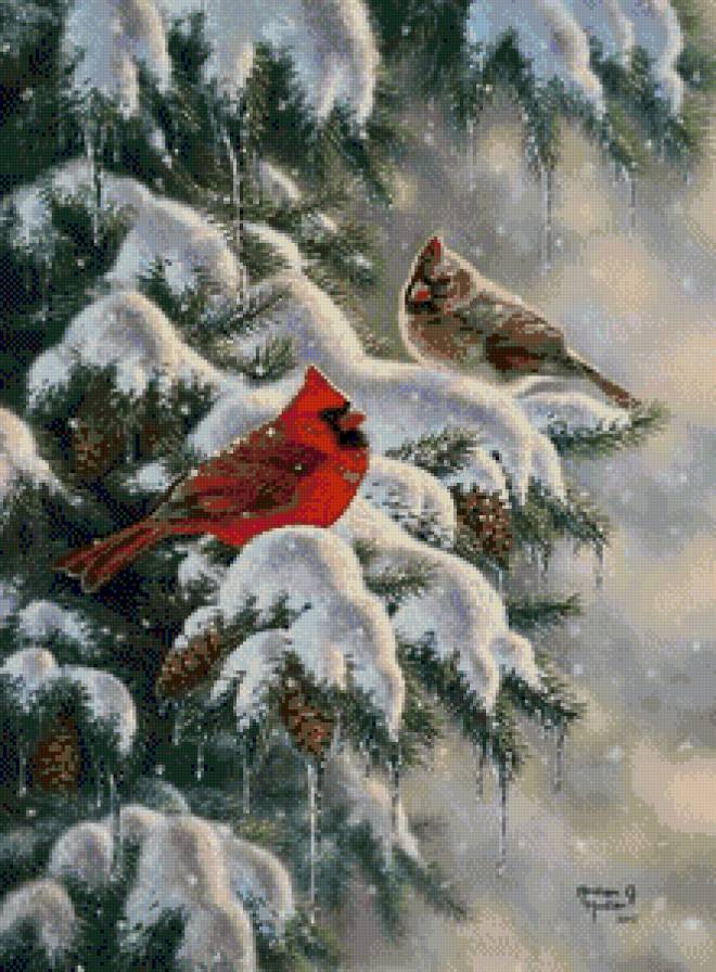 Снегири - снег, ель, птицы, новый год, шишки - предпросмотр