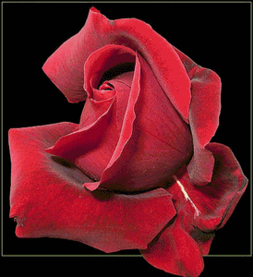 №1085044 - предпросмотр