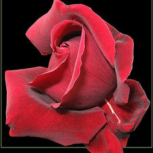 Схема вышивки «№1085044»