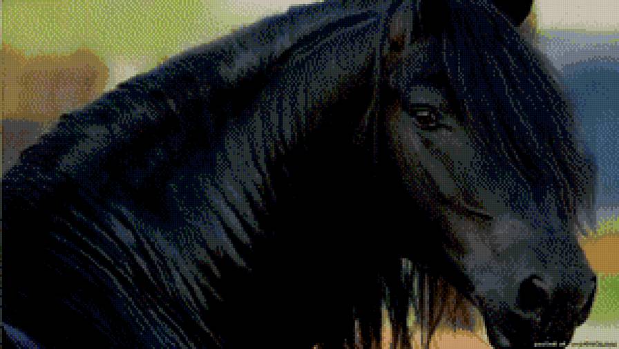 фризская порода - лошадь, животное, конь, фриз - предпросмотр