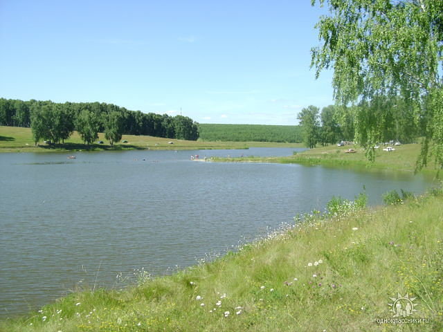 пруд - оригинал