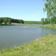 Схема вышивки «пруд»