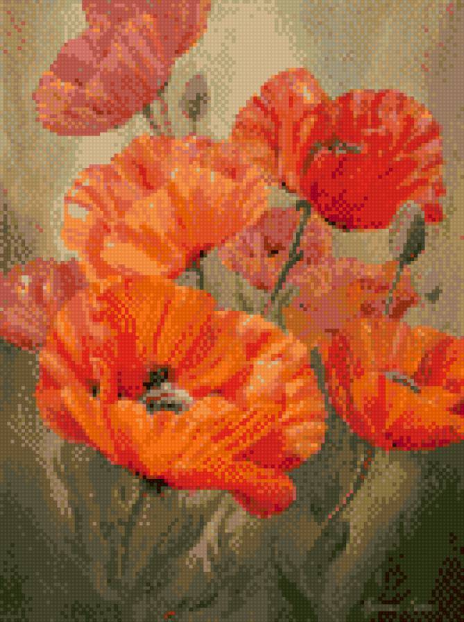 Маки полевые для мамы - предпросмотр