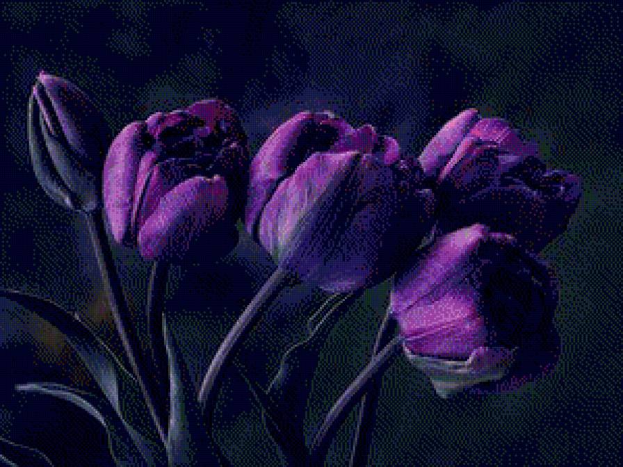 Тюльпаны - цветы - предпросмотр