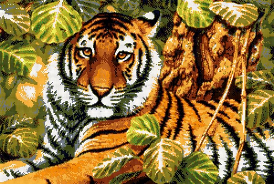 Тигр)) - тигр - предпросмотр