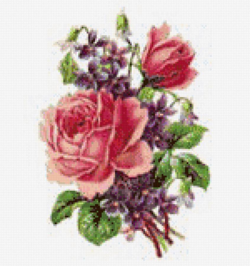 розочка - предпросмотр