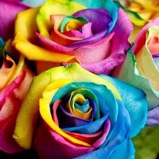 Схема вышивки «Радужная роза»