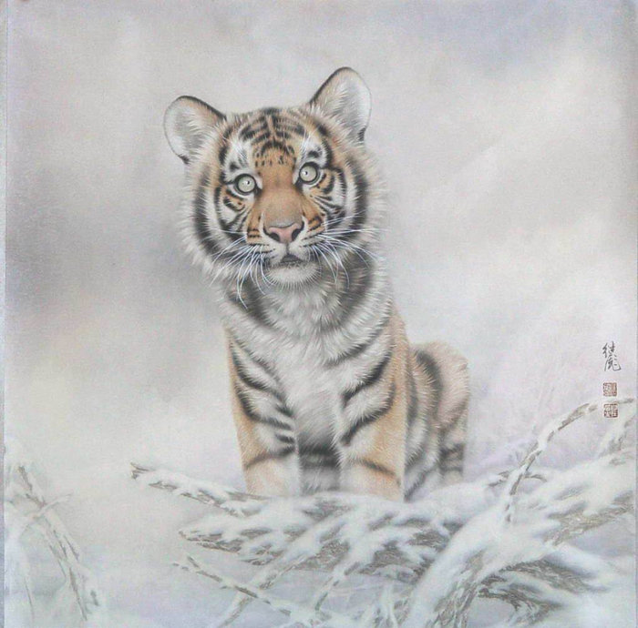 Тигренок - тигренок, животные - оригинал