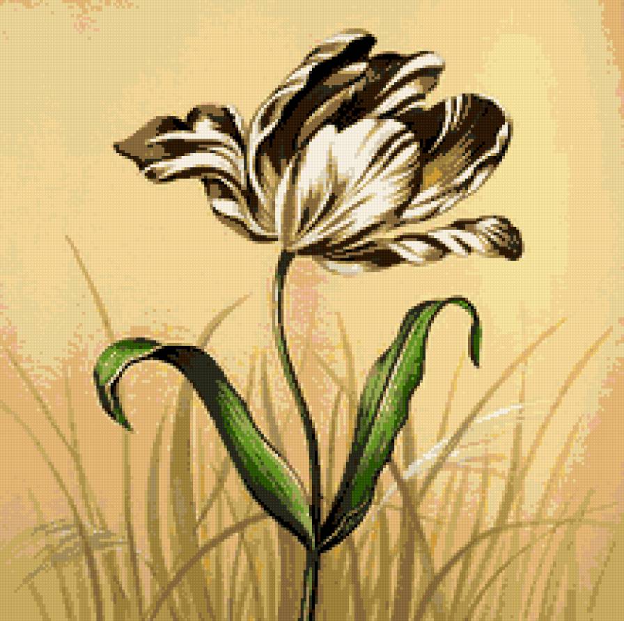 Тюльпан - тюльпан, цветы - предпросмотр