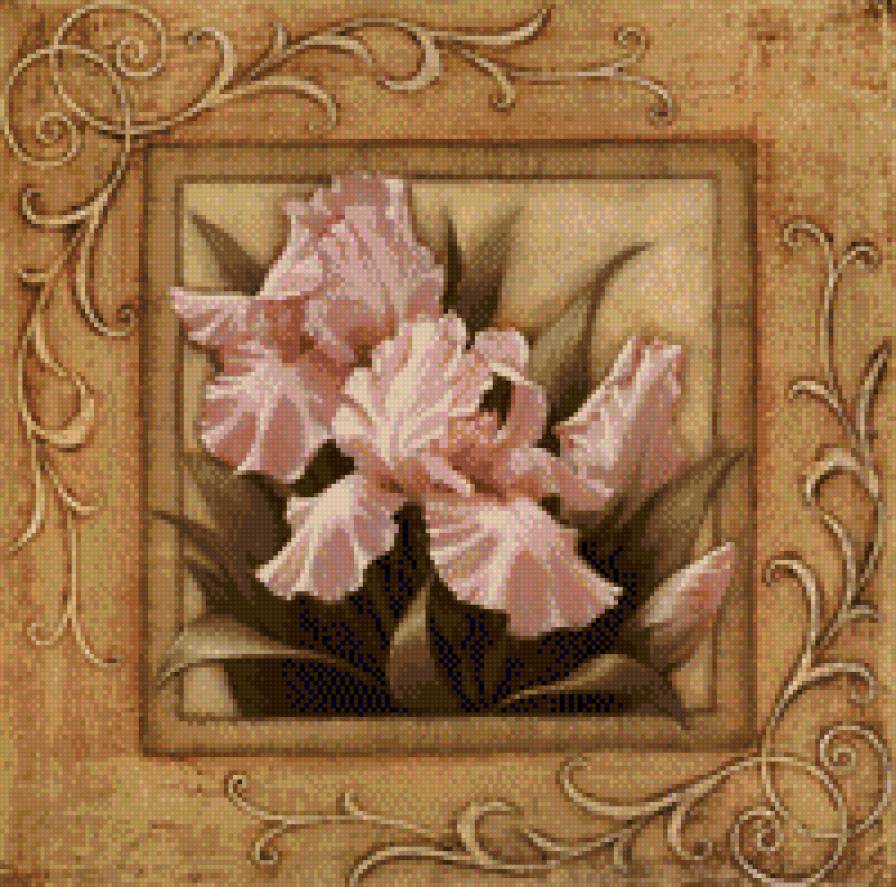 Ирисы - предпросмотр