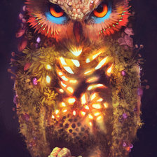 Схема вышивки «Сова»