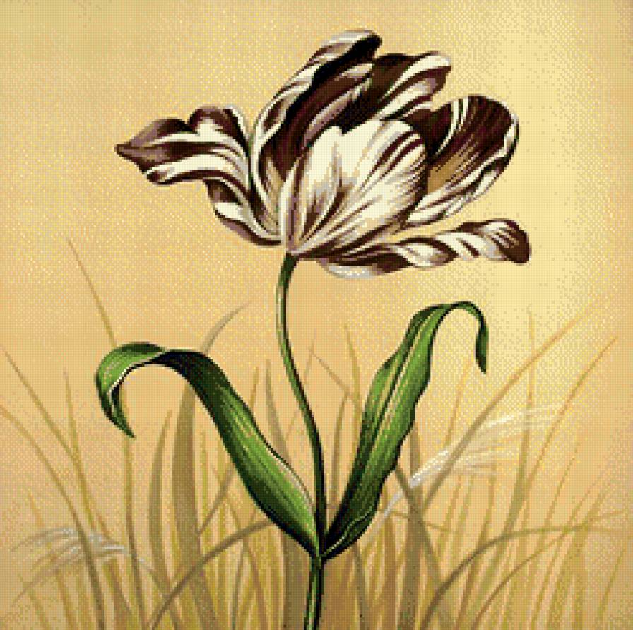 тюльпан .для себя - предпросмотр