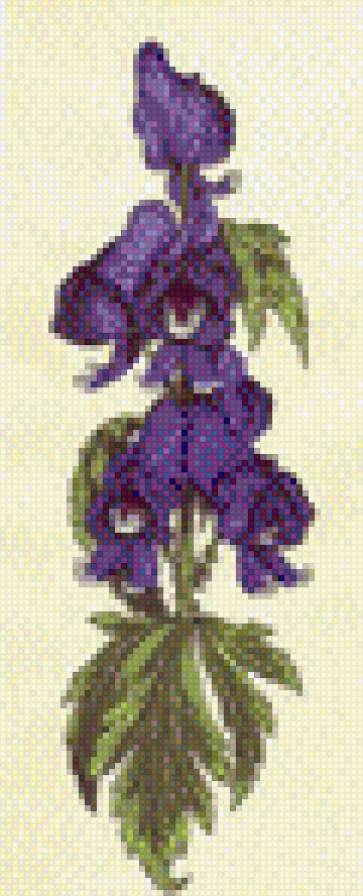 аконит 2 - аконит 2 - предпросмотр