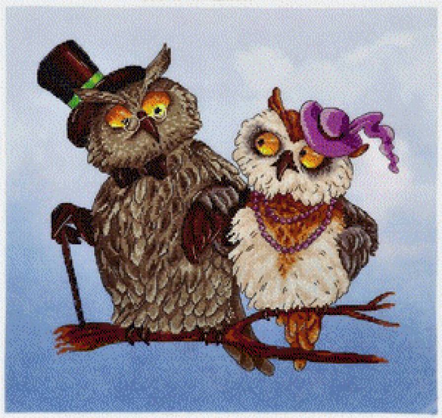 Благородное семейство - парочка сов, любовь, совушки, совы, сова - предпросмотр