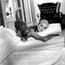 Схема вышивки «a nap»