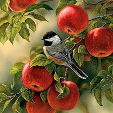 Схема вышивки «яблочки»