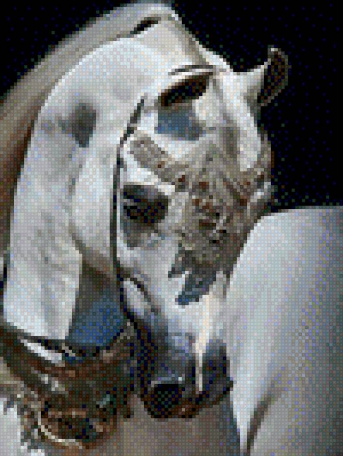 loshad - belaya loshad - предпросмотр