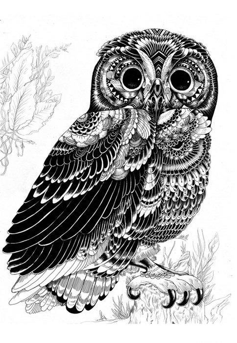 Сова монохром - монохром, пттицы - оригинал