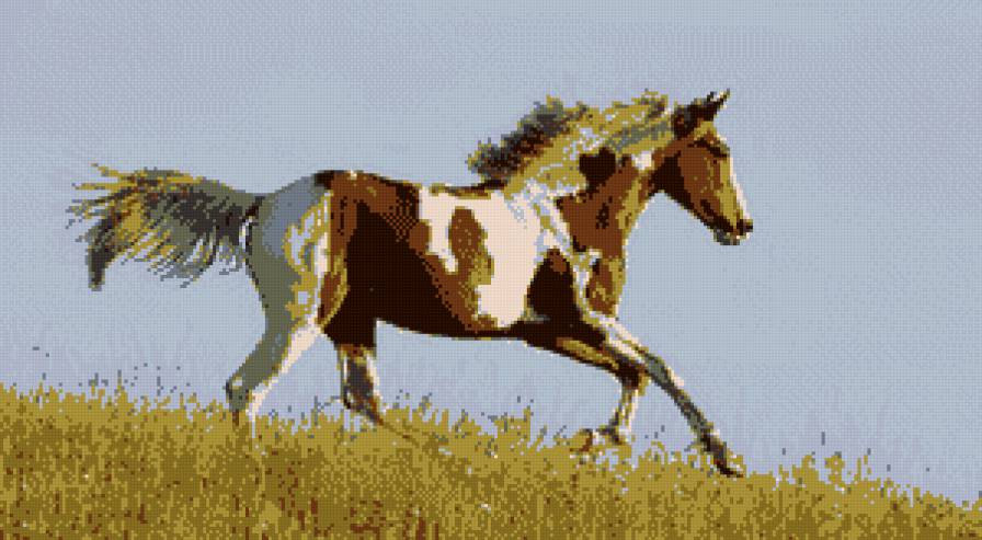 Конь - предпросмотр