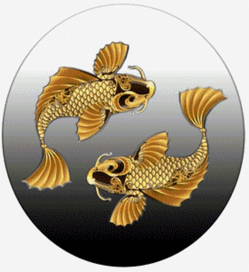 Код богатства рыбы. Золотая рыба. Золотая рыбка денежная. Две рыбы. Золотая рыбка на удачу.