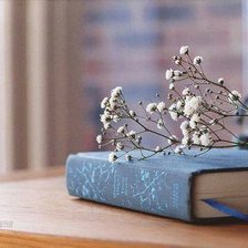 Схема вышивки «a book»