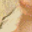 Предпросмотр схемы вышивки «№1088333»
