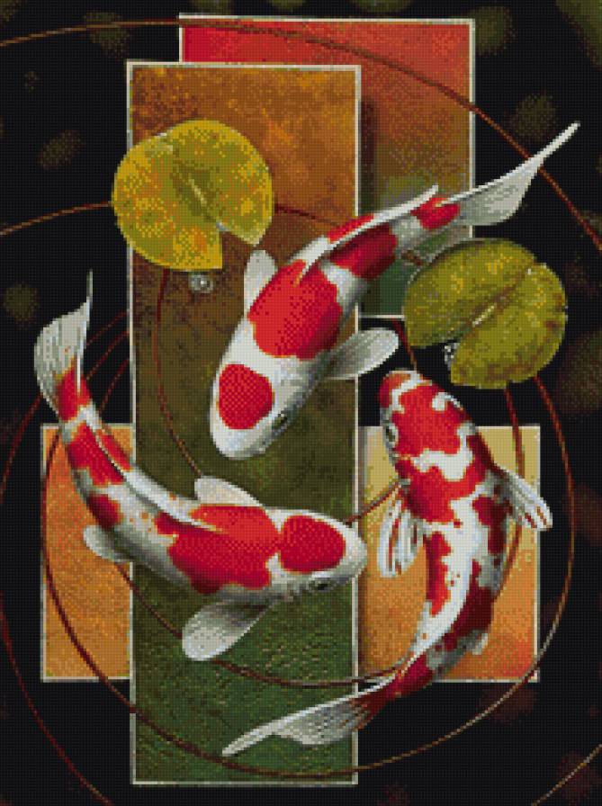 рыбки кои - предпросмотр