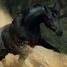 Схема вышивки «арабская лошадь»