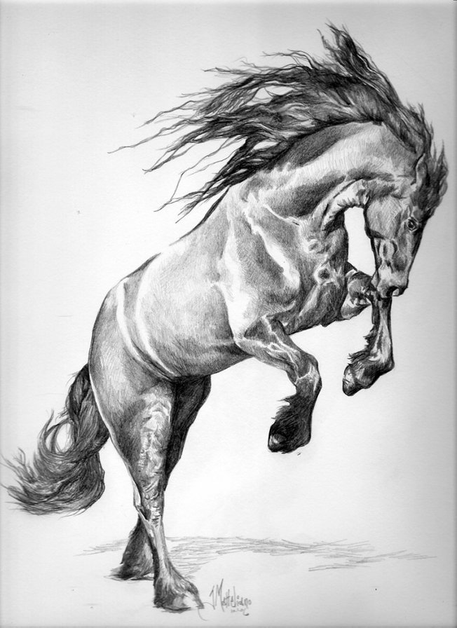 скакун - конь, лошадь, животные - оригинал