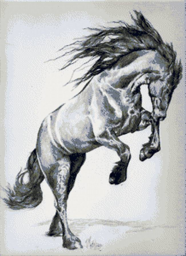 скакун - лошадь, животные, конь - предпросмотр