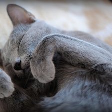 Марсик автор Воробьёва Н.В