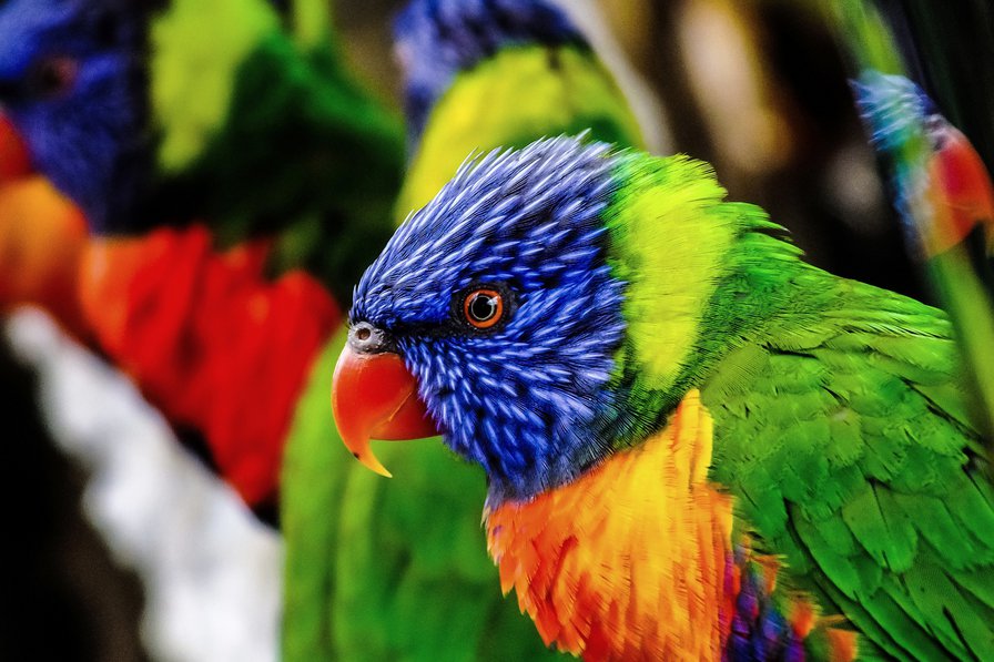 о автор Воробьёва Н.В - оригинал