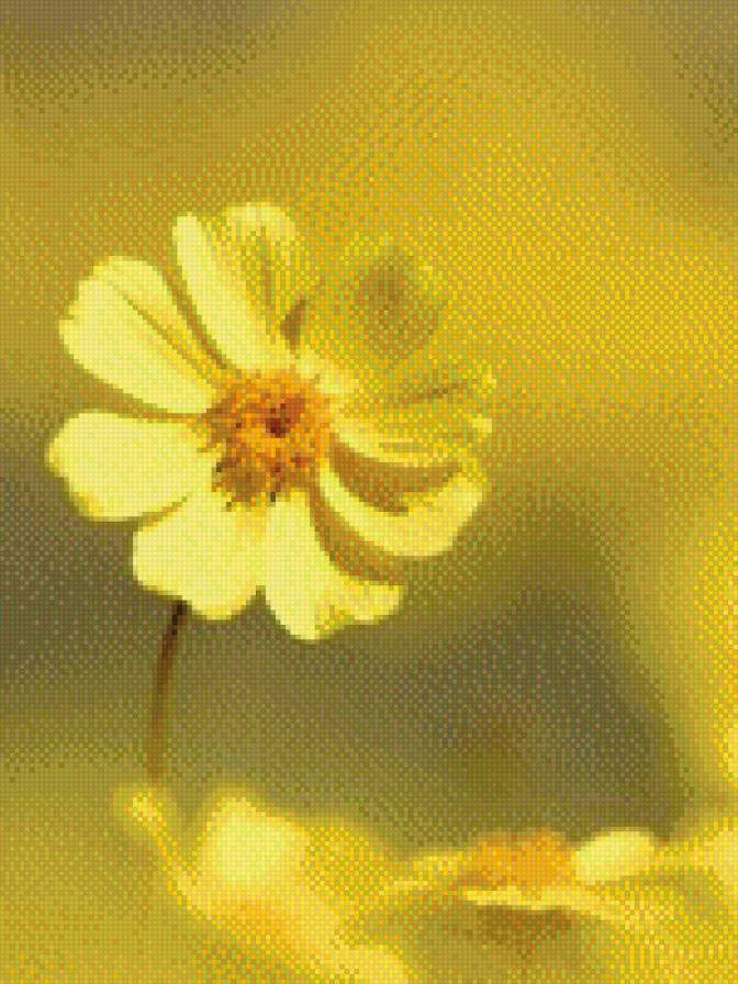 Цветочек - цветы - предпросмотр